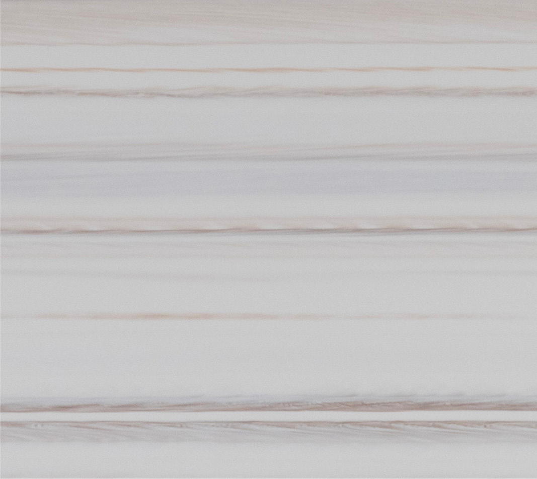 White maple N 546